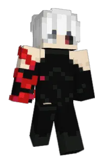 sdjm15 Minecraft avatar full body