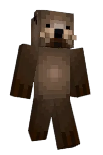 sea1ions Minecraft avatar full body