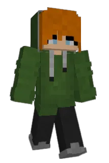 seagull_solvent Minecraft avatar full body