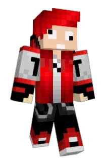 sealpuncher Minecraft avatar full body