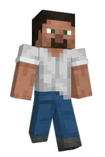 seamedina Minecraft avatar full body