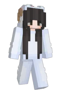 sean_210 Minecraft avatar full body