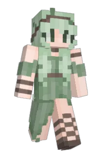 seaweed4444 Minecraft avatar full body