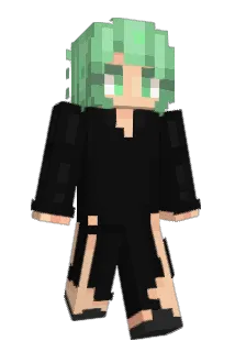 seb4s Minecraft avatar full body
