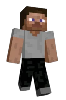 sebkfish Minecraft avatar full body