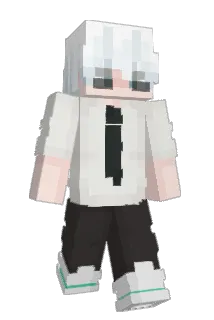 secse Minecraft avatar full body