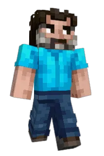 sed71 Minecraft avatar full body