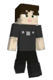 seesnik Minecraft avatar full body