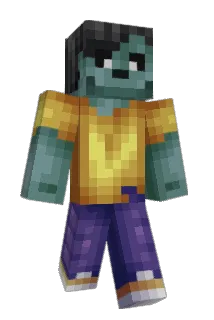 sefinko Minecraft avatar full body