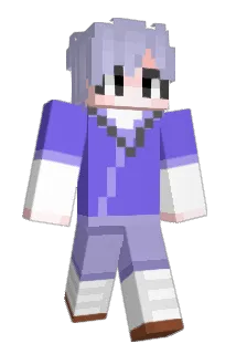segael41 Minecraft avatar full body