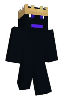 seiila78 Minecraft avatar full body