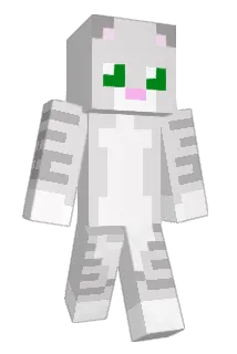 seikomac010 Minecraft avatar full body