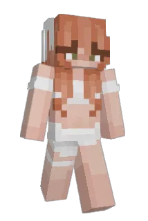 seillie Minecraft avatar full body