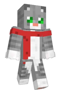 seina555 Minecraft avatar full body