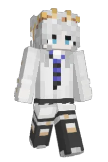 seiswagg Minecraft avatar full body