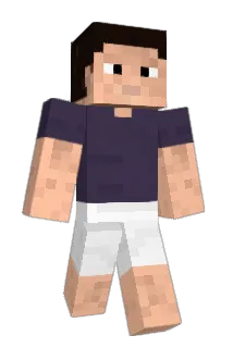 seitokai Minecraft avatar full body