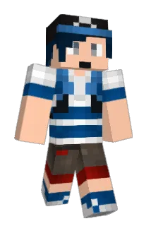 selc888 Minecraft avatar full body