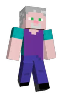 selerius Minecraft avatar full body