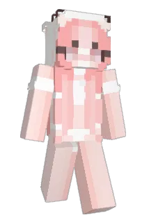 sellbee Minecraft avatar full body