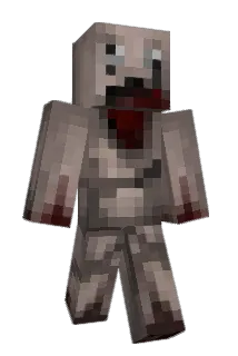 selle1234 Minecraft avatar full body