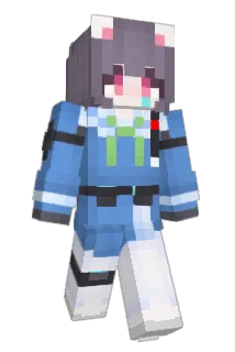 selt123 Minecraft avatar full body