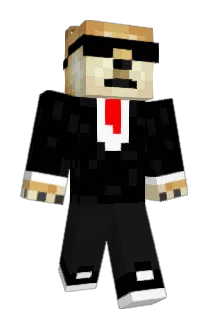 sendleXDD Minecraft avatar full body