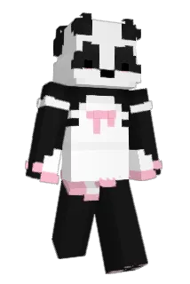 seniour Minecraft avatar full body