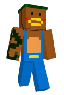 seojin123 Minecraft avatar full body