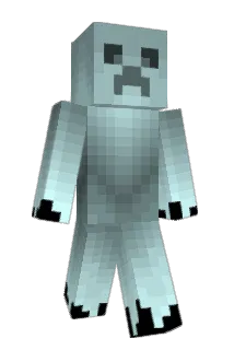 seravi8 Minecraft avatar full body