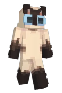 seretls Minecraft avatar full body