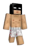 sernikpolski Minecraft avatar full body