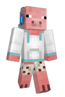server48 Minecraft avatar full body