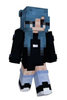 seshisushi Minecraft avatar full body