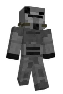 setheckert21 Minecraft avatar full body