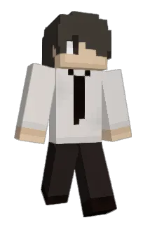 seung_su Minecraft avatar full body