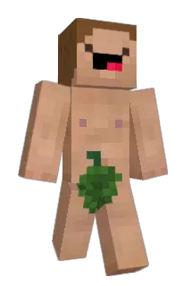 sev5790 Minecraft avatar full body