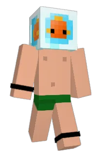 seventeenmillion Minecraft avatar full body