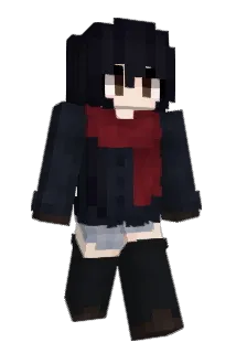 seventheen Minecraft avatar full body