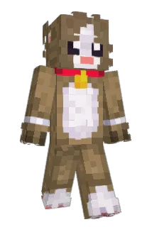sez542 Minecraft avatar full body