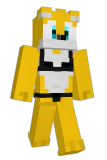 sfksgg Minecraft avatar full body