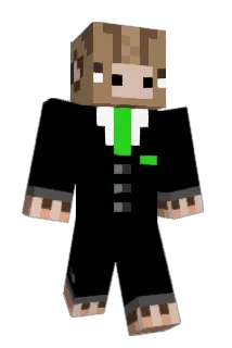 sfry5 Minecraft avatar full body