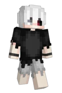 sgRR16 Minecraft avatar full body