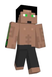 shadowphoenixHD Minecraft avatar full body