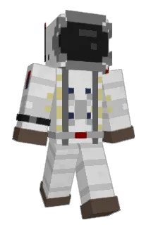 shadowreach Minecraft avatar full body