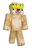 shadydoge Minecraft avatar full body