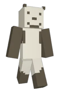 shae Minecraft avatar full body