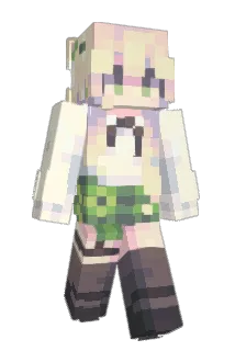 shanow Minecraft avatar full body