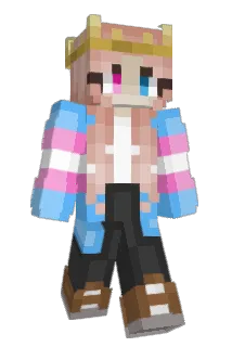 shark4499 Minecraft avatar full body