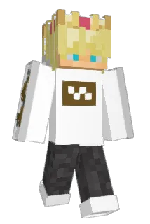 shatterdprince Minecraft avatar full body