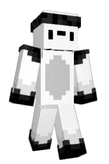 shawarma_ Minecraft avatar full body